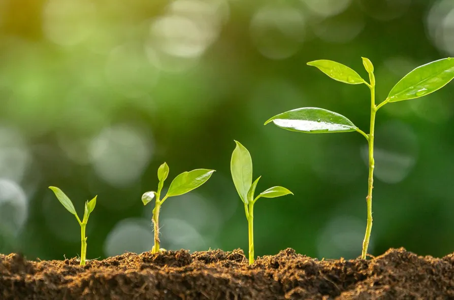 NDA Agro Business agricultural tokenization