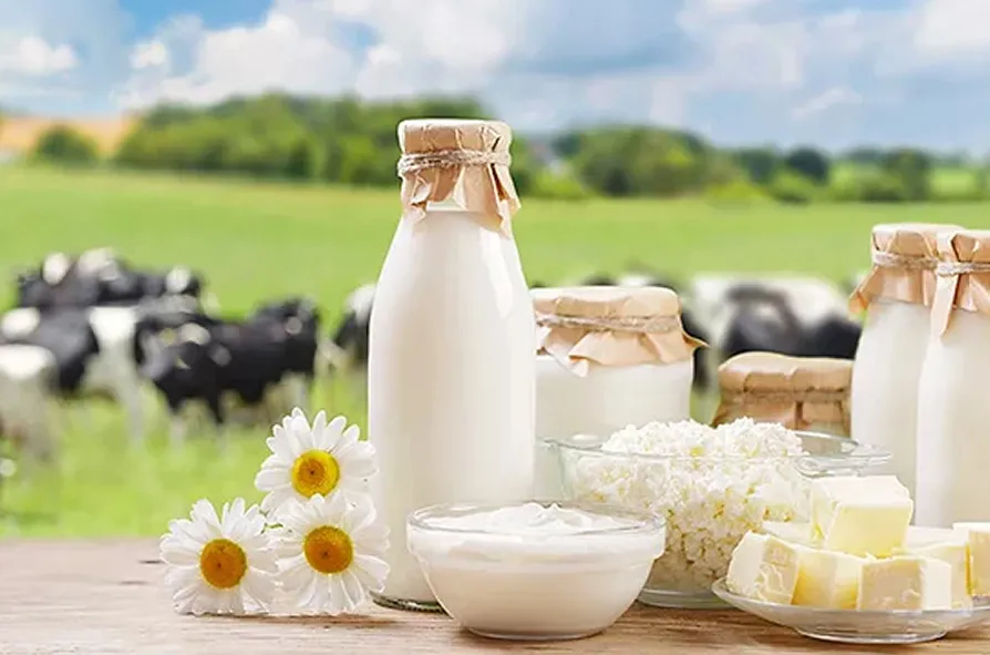 NDA Food Company dairy tokenized bonds